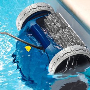 Limpieza Piscina